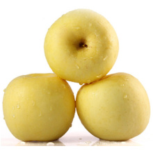Deliciosa manzana fresca de China Manzana dorada